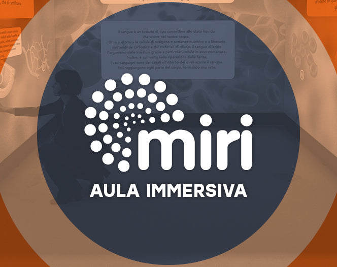 Corsi online e libri di
