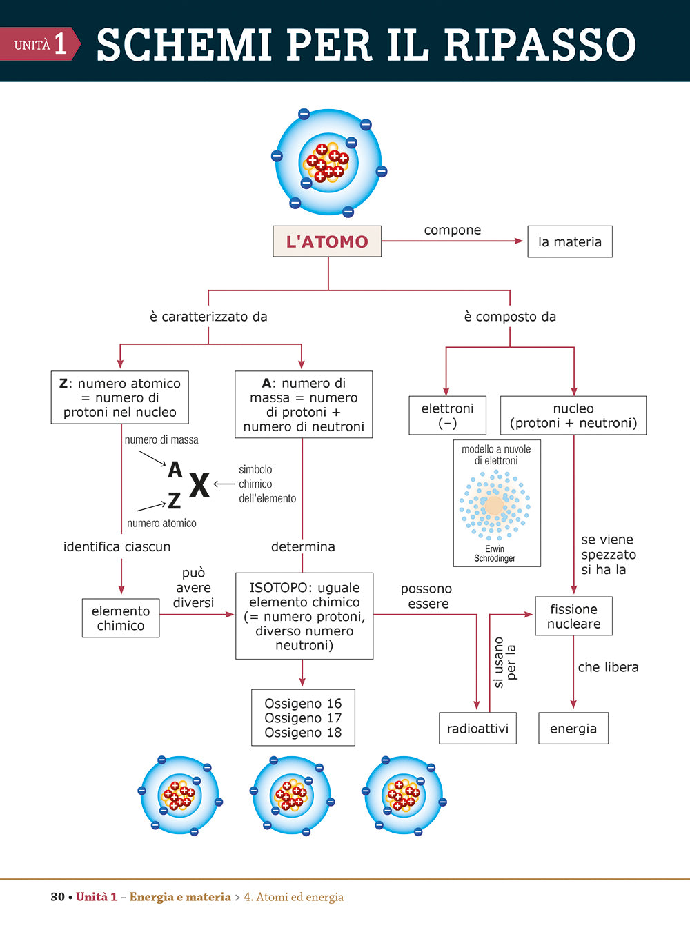 I Saperi Essenziali di Scienze::per la scuola secondaria di I grado