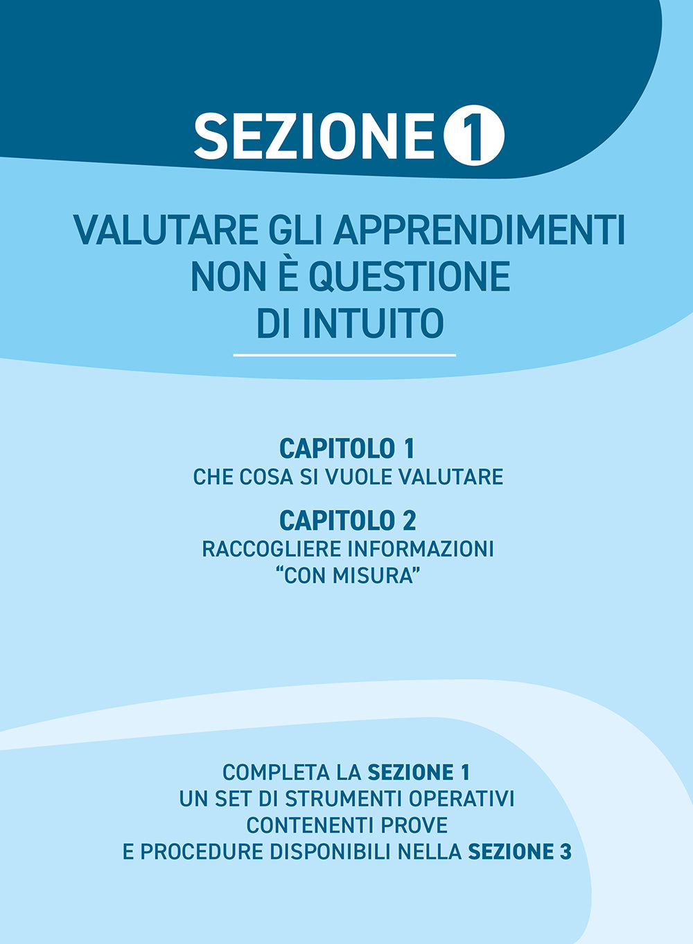 Valutare gli apprendimenti nella scuola primaria::Metodologie e materiali per la valutazione in ingresso, in itinere e finale